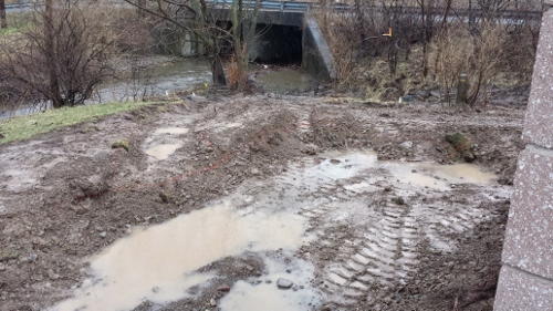 Winton Rain Garden 2014 (19)